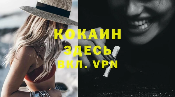 индика Вяземский