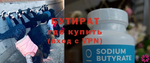 индика Вяземский