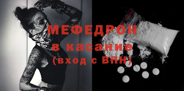 индика Вяземский
