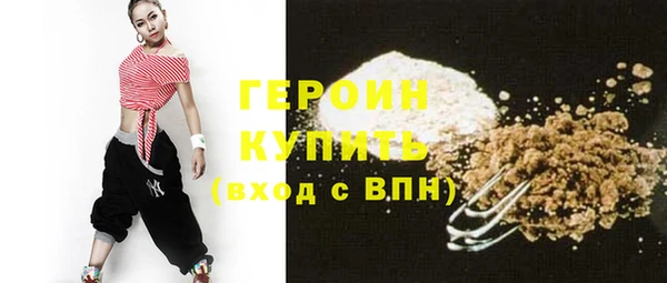 индика Вяземский
