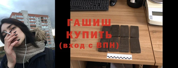 индика Вяземский