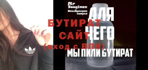 индика Вяземский
