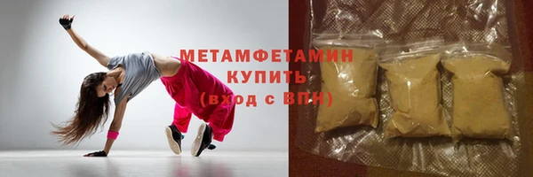 индика Вяземский