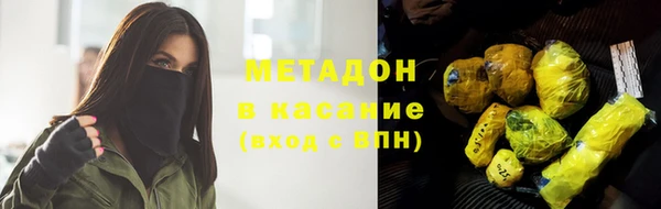 индика Вяземский