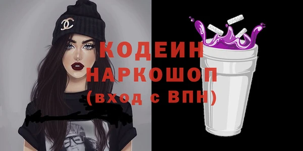 индика Вяземский