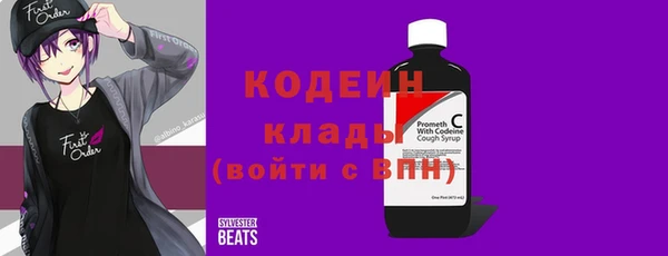 индика Вяземский