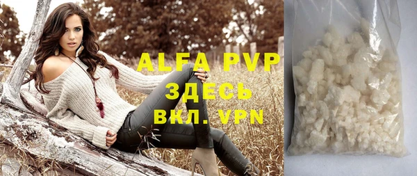 индика Вяземский