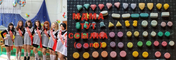 индика Вяземский