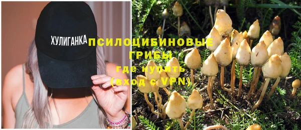 индика Вяземский