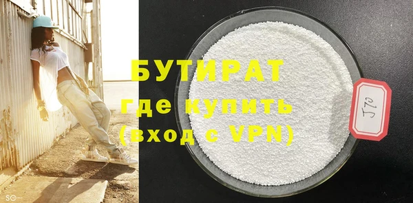 индика Вяземский