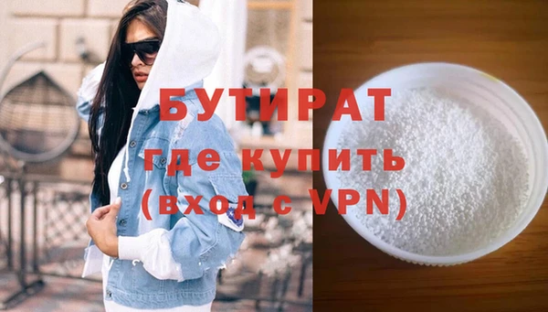 индика Вяземский
