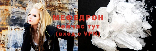 индика Вяземский