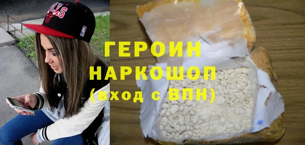 индика Вяземский