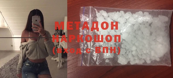 индика Вяземский