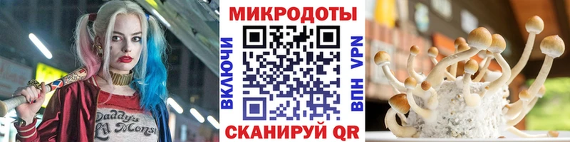 мега сайт  даркнет сайт  Артём  Псилоцибиновые грибы MAGIC MUSHROOMS 