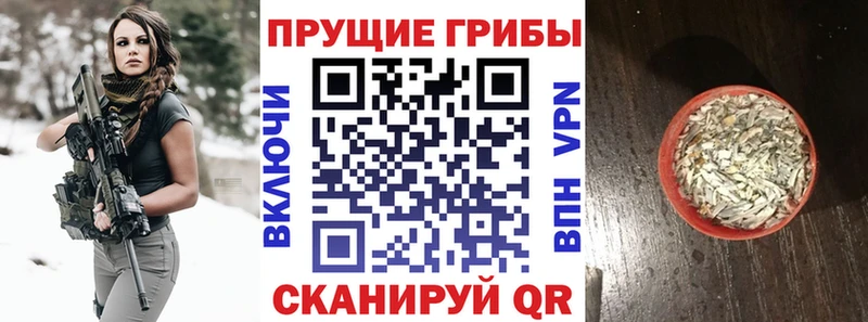Галлюциногенные грибы мухоморы Артём